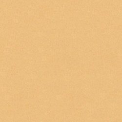 Χαρτόνι Κολάζ (Τύπου Canson) Μπεζ Άμμου 50x70cm. 220gr