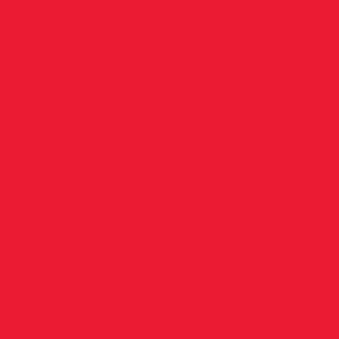 Χαρτόνι Κολάζ (Τύπου Canson) Κόκκινο 50x70cm. 220gr